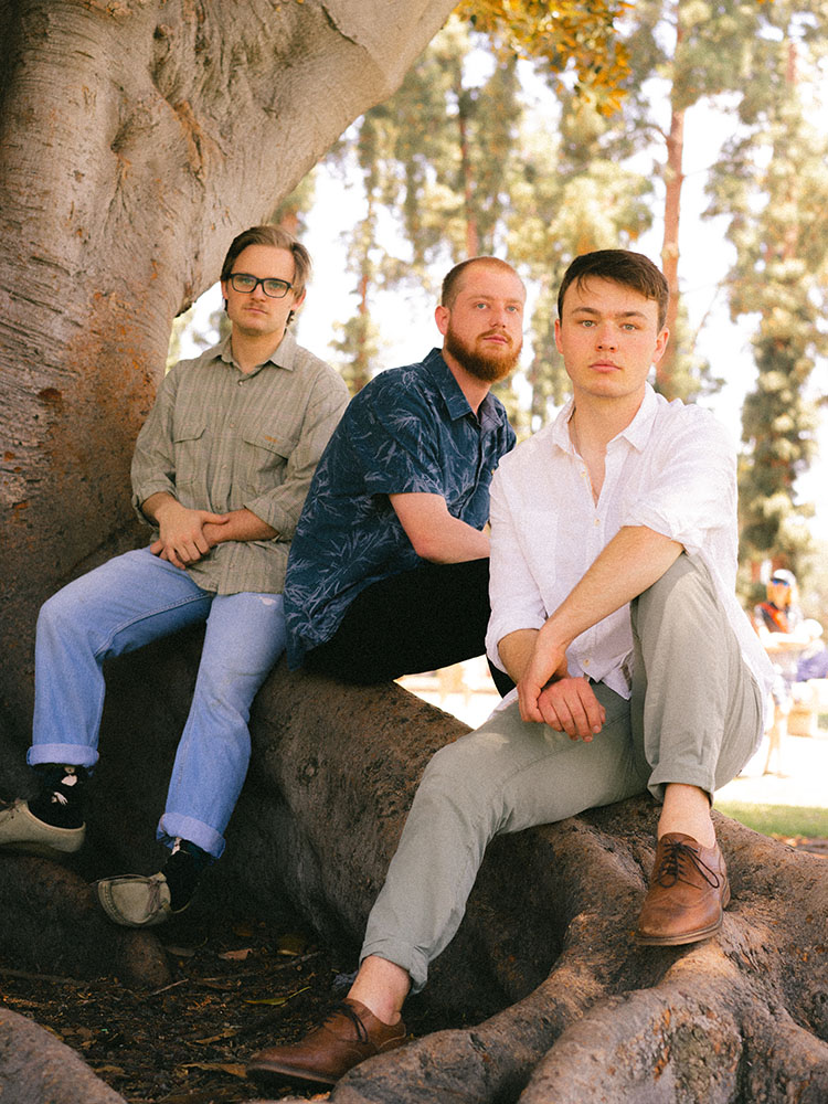Three men sit on root of Moreton Bay fig tree.