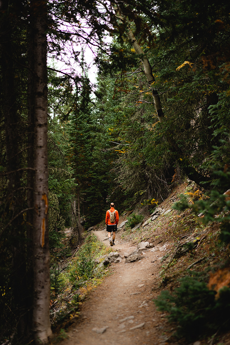A man wearing an orange sweater walking down a forest path, away from the camera.