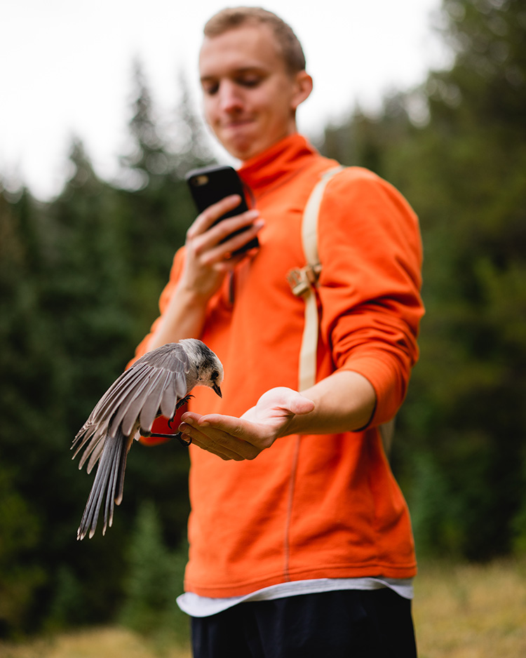 A man wearing an orange sweater photographs a bird eating seeds out of his hand.